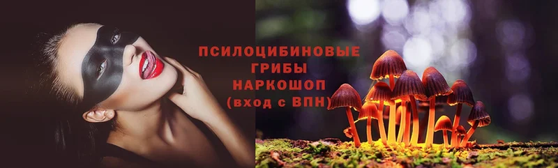 блэк спрут ТОР  Грязи  Галлюциногенные грибы Psilocybine cubensis 