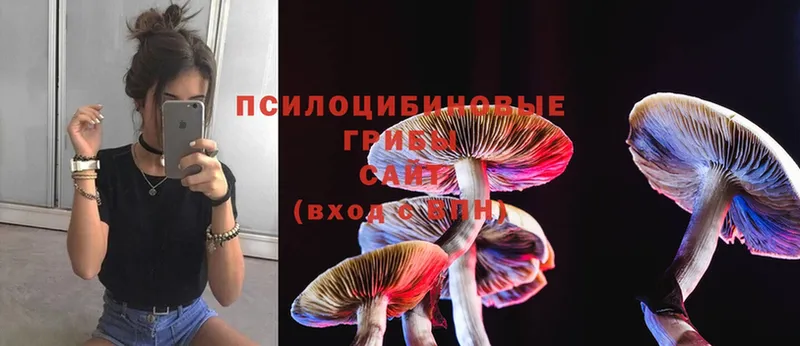 Галлюциногенные грибы Psilocybine cubensis Грязи